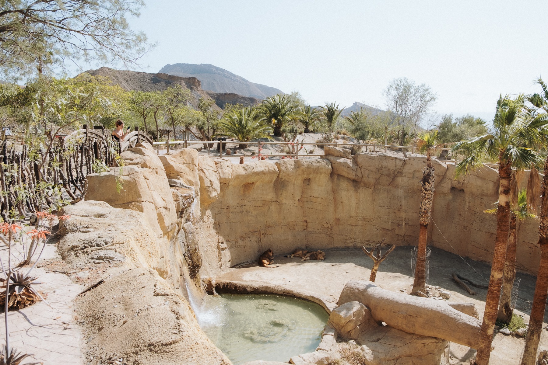 Ogród Zoologiczny w Hiszpanii