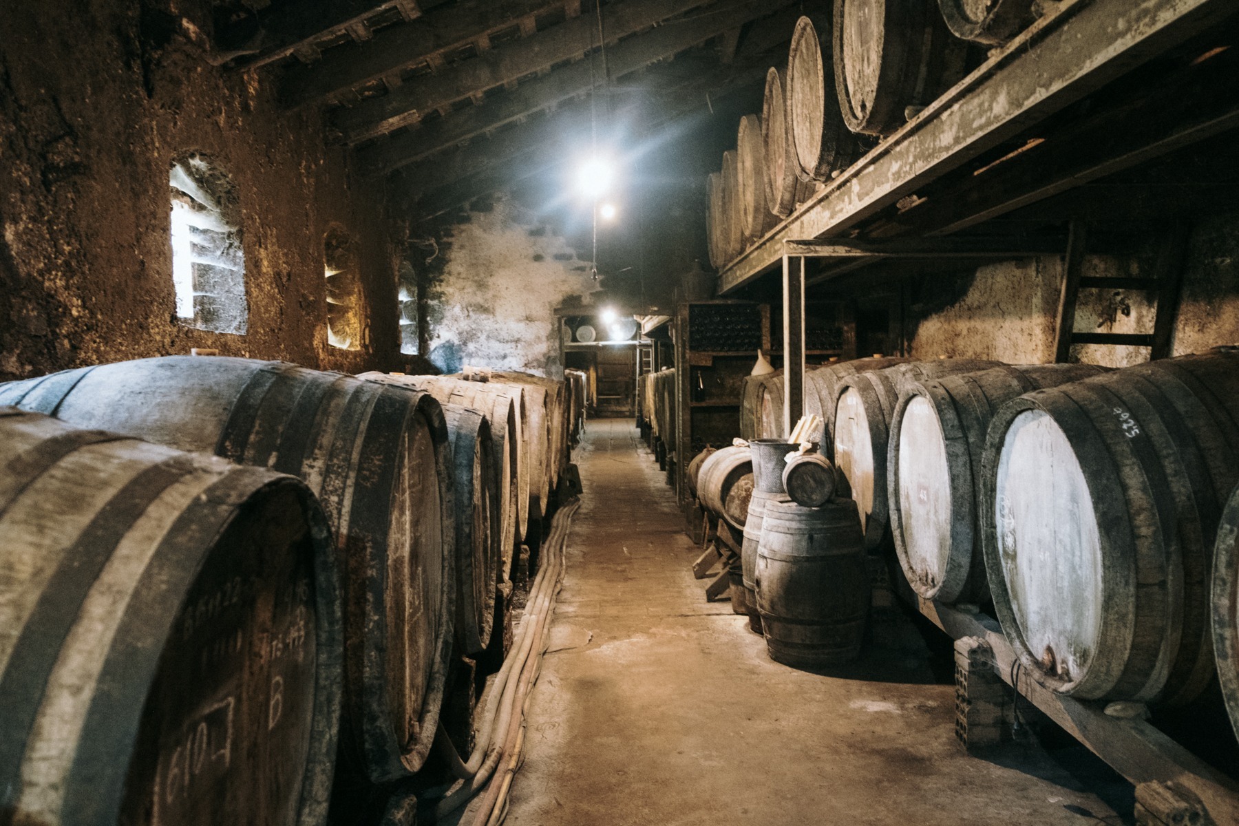 Winnica Mas Molla Costa Brava Hiszpania