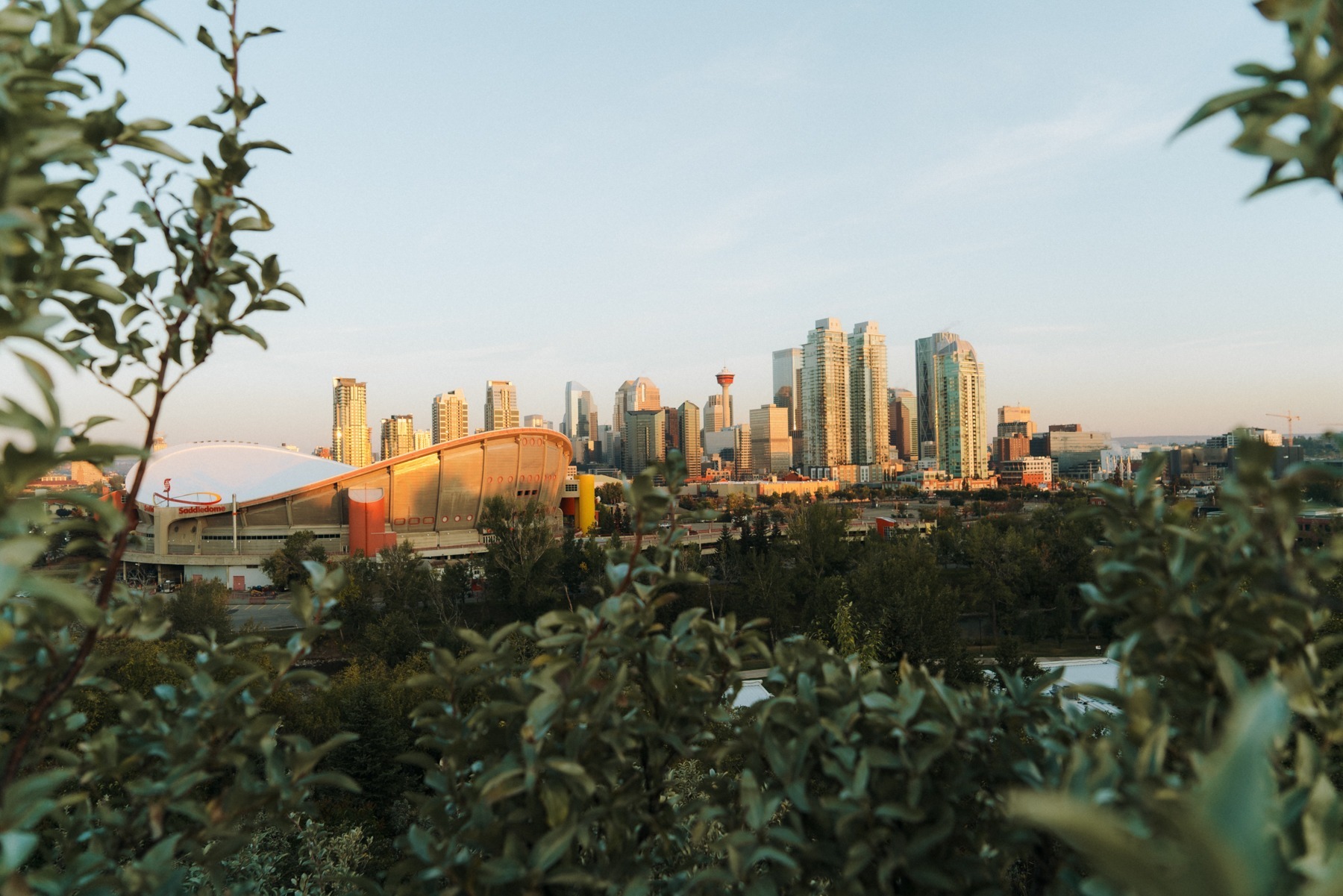 Calgary Night viewpoint