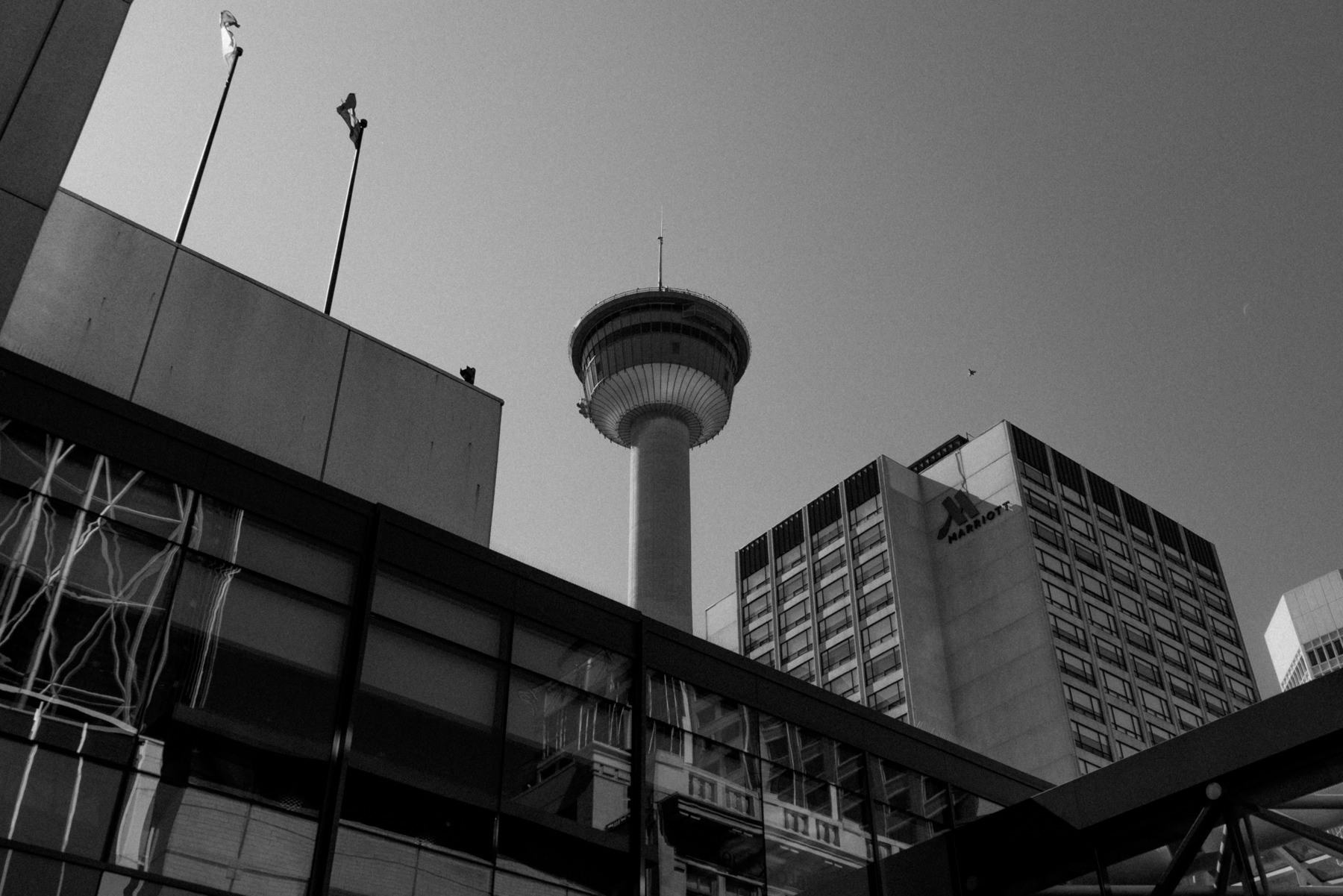 Calgary Tower