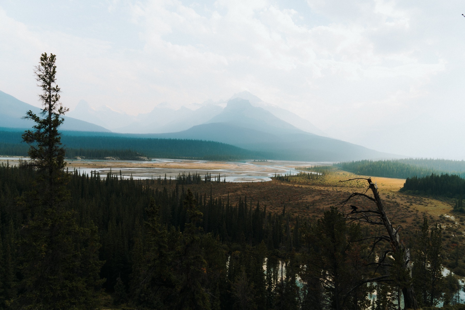 Glacier Nacional Park Góry Skaliste