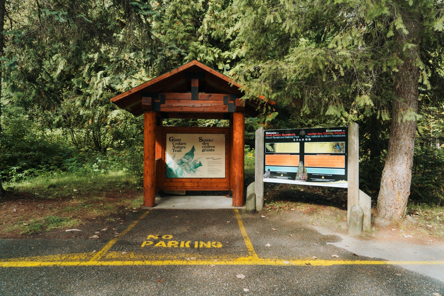Wjazd do Giant Cedars Boardwalk Trail
