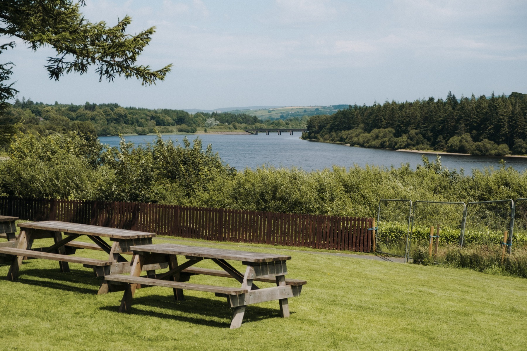Widok z The Avon Resort na Blessington Lakes